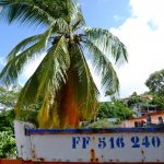à voir en martinique